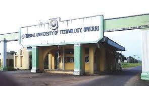 We can’t pay our children’s school fees – FUTO lecturers