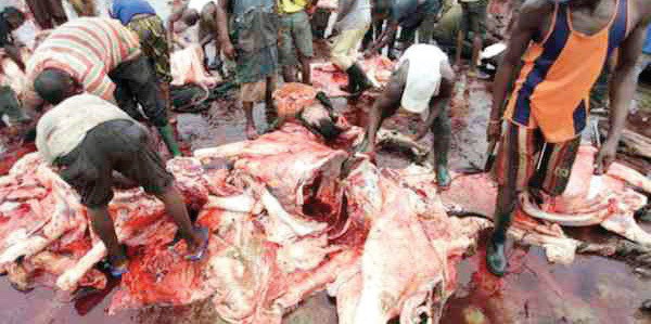 Abominable abattoirs – The Nation
