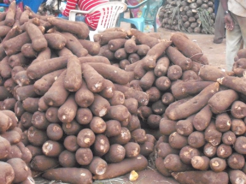 Minister, others to face House probe over rotten yams export