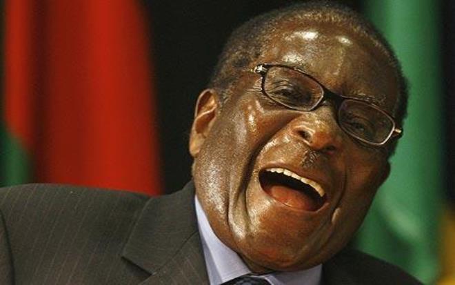 Zimbabwe grants Mugabe immunity