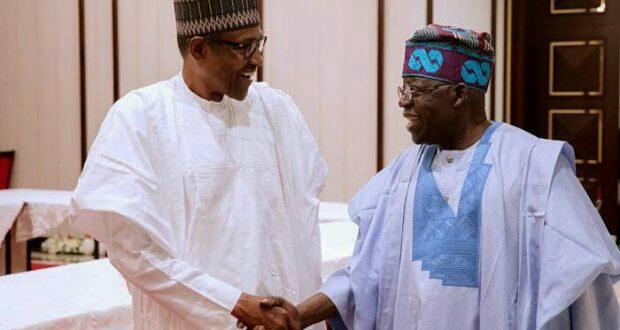 2019: I don’t want to be VP, Osinbajo stays – Tinubu