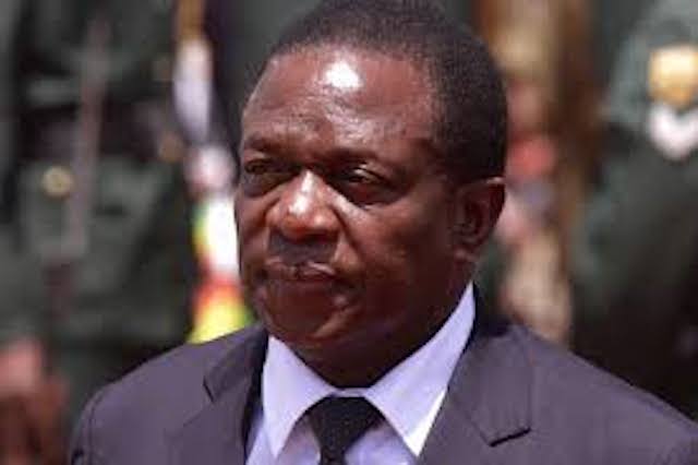 Zimbabwe:Mnangagwa to engage Interpol to hunt down Mugabe allies