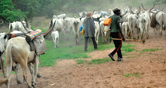 Herdsmen attacks: Over 7,000 school children out of school in Nasarawa