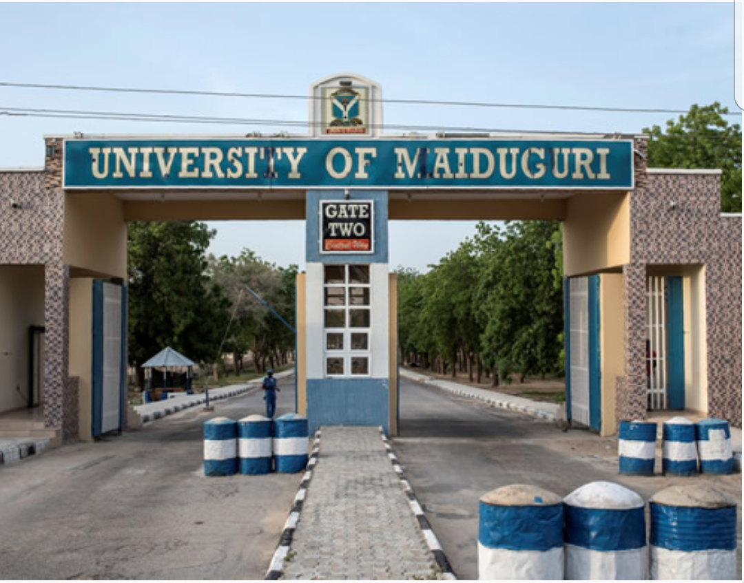 BREAKING: Buhari hosts freed UNIMAID lecturers