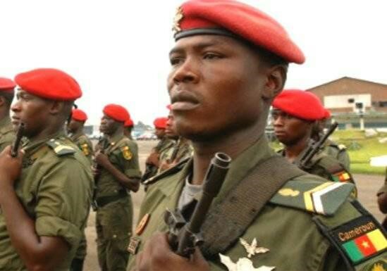 Cameroonian gendarmes’ invasion of Nigeria – Daily Trust