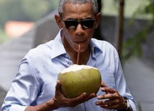 Coconut water lowers risk of high blood pressure – Expert