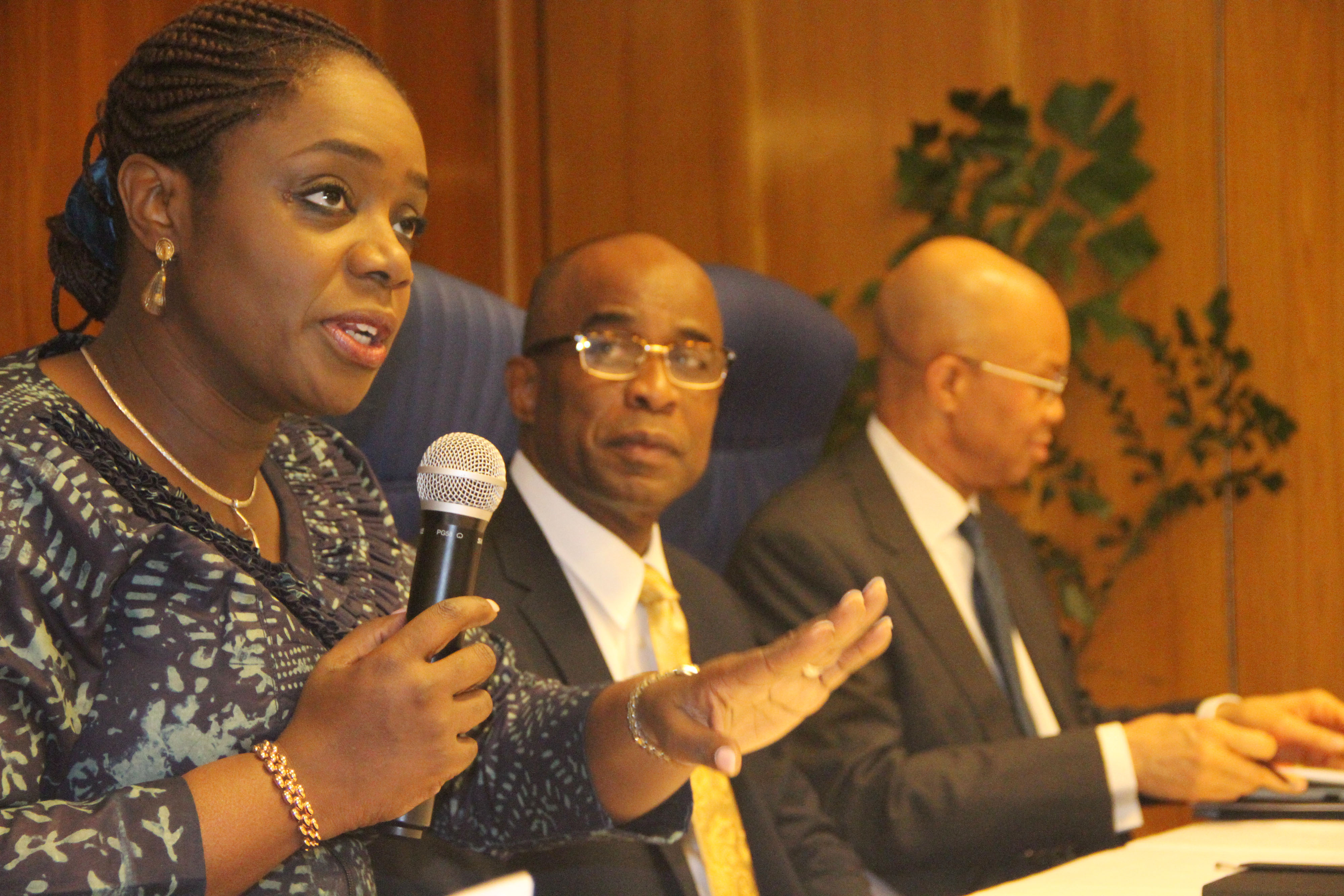 Economic devt: Adeosun seeks more technical, institutional support for West Africa