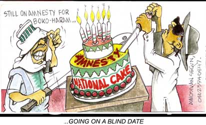 Why Boko Haram deserves amnesty — Presidency