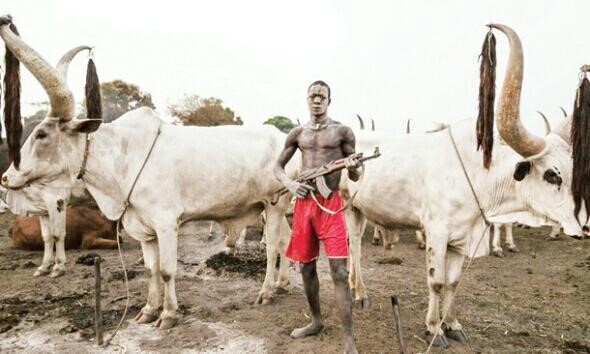 Benue: Herdsmen kill two returning from Catholic priests’ burial