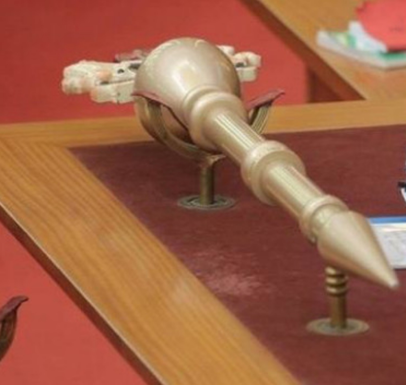 Gombe Assembly member flees with mace during plenary