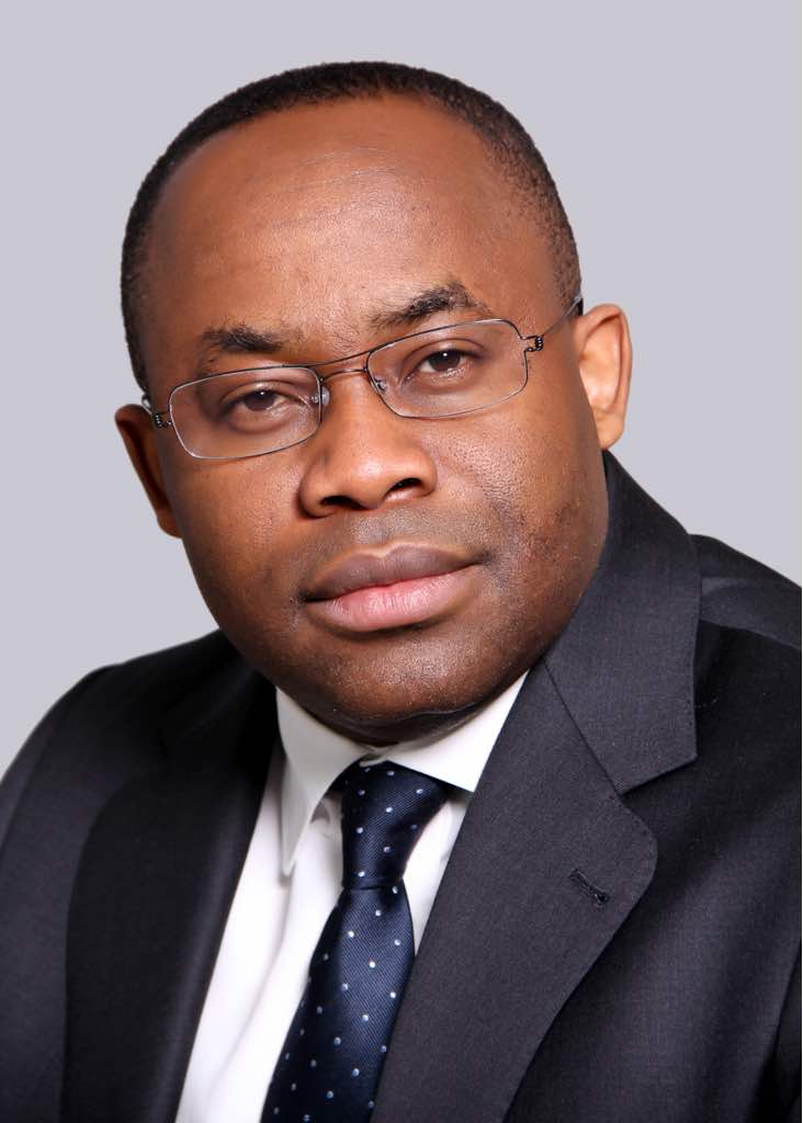 PFI initiative has eliminated fraud in fertilizer subsidy system in Nigeria – NSIA