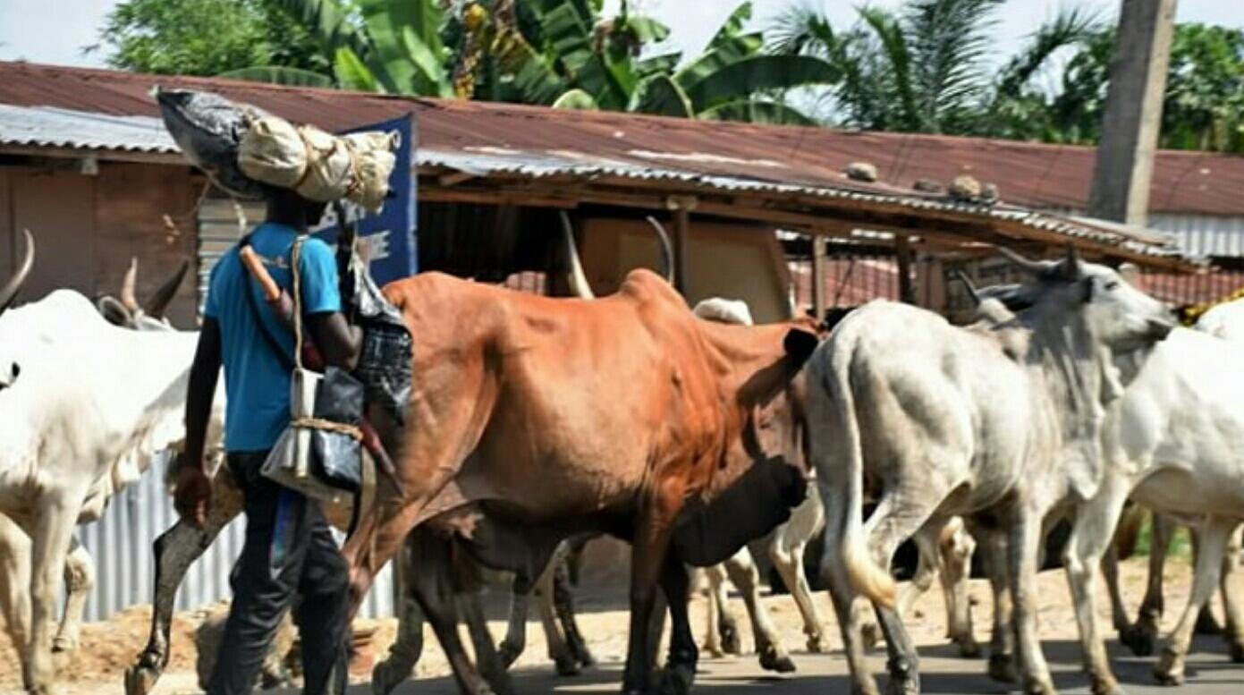 Herdsmen launch fresh attack in Benue, kill 7, injure 6, abduct woman