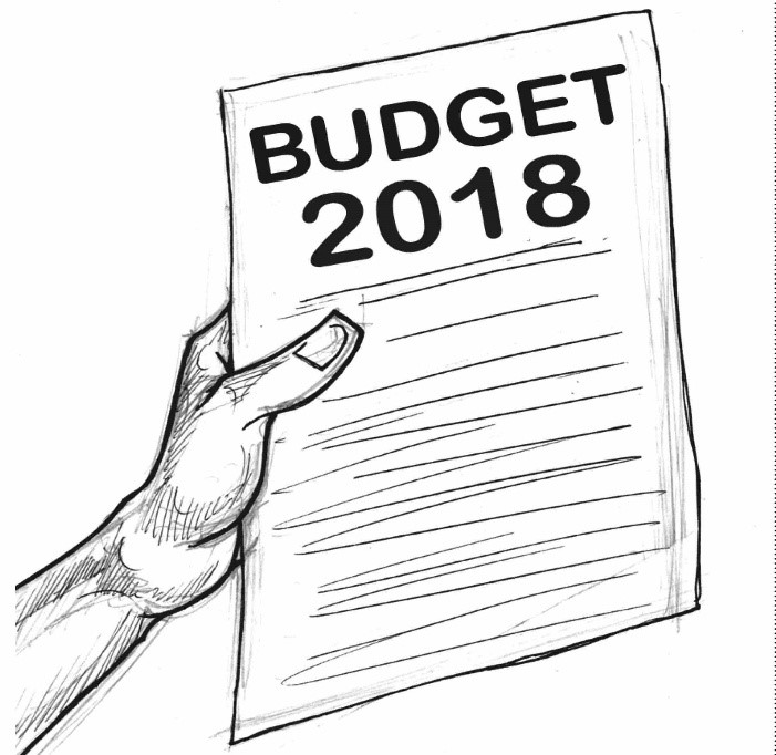 The 2018 budget controversy – Thisday