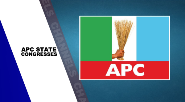 Court nullifies Imo APC congresses, orders fresh polls