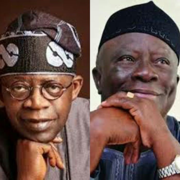 Afenifere laughs off Tinubu’s 2023 ambition