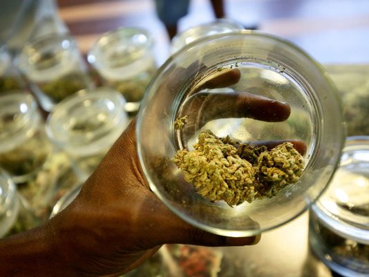 South Africa legalises private use of marijuana