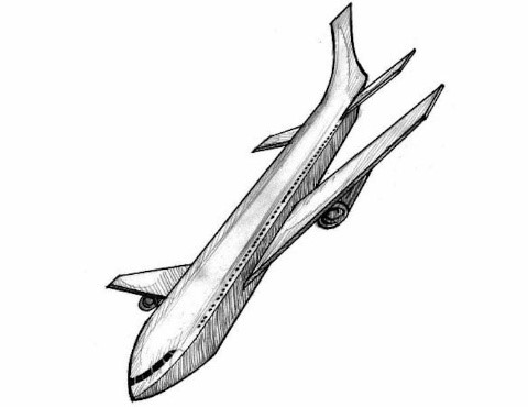 The truncated Nigeria Air project – Thisday