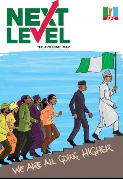 Next Level or Making Nigeria Work – Daily Trust