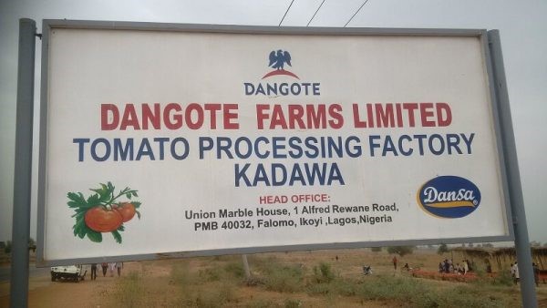 Dangote Tomato Company to resume operation soon