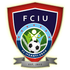 Ifeanyi Ubah FC: Our defeat to Akwa Utd a lesson – Okagbue