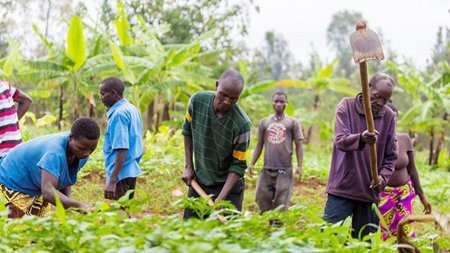 Financing agriculture – The Nation