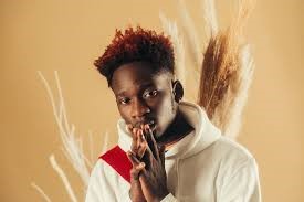 I abandoned my family’s wealth to eke out a living – Mr Eazi
