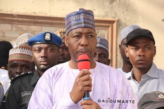 Borno govt inaugurates youth scheme to end thuggery