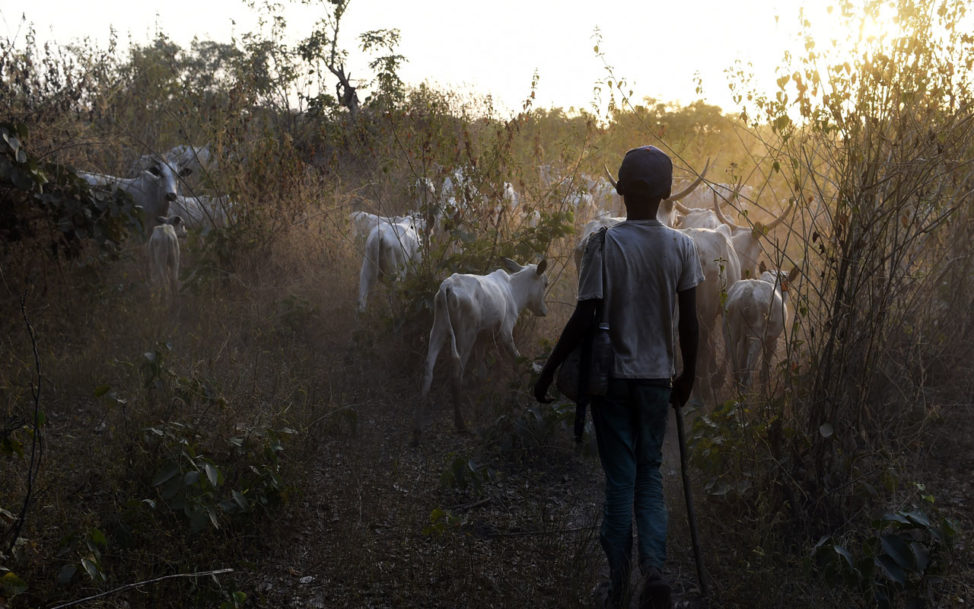 South-East communities restrict land sale over RUGA