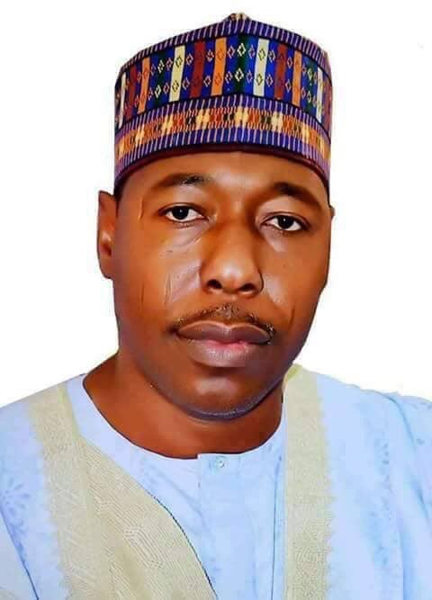 Borno govt to establish three medical referral centres