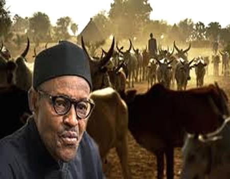 Don’t blame Buhari for herdsmen killings, says Presidency