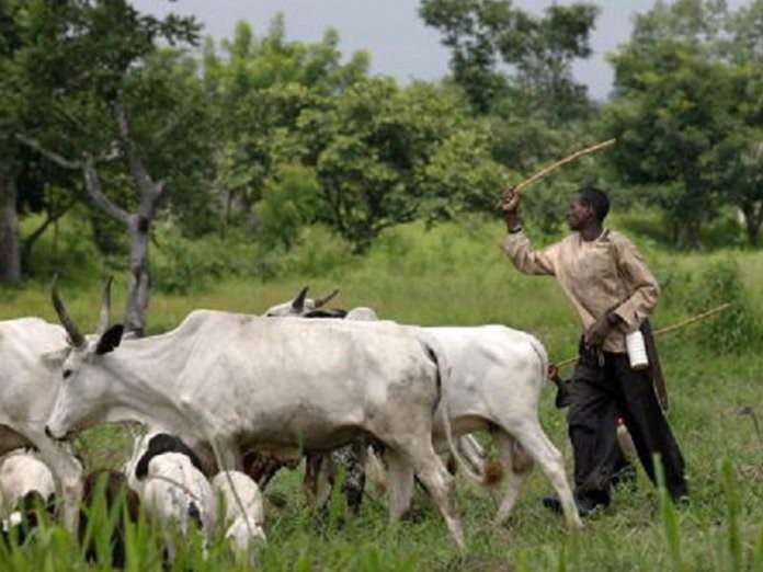 FG begins remodelling of grazing reserves into ranches in 7 states