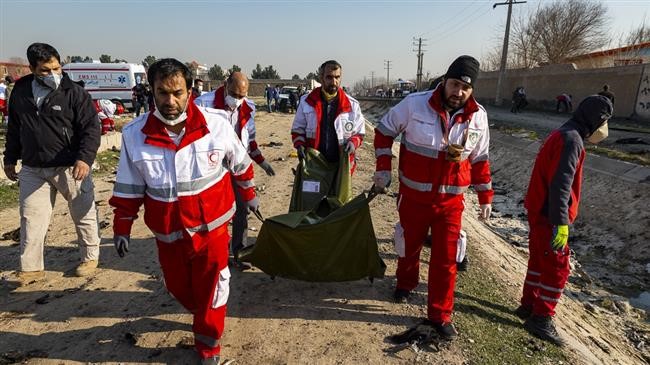 Iran welcomes global cooperation on plane crash investigation