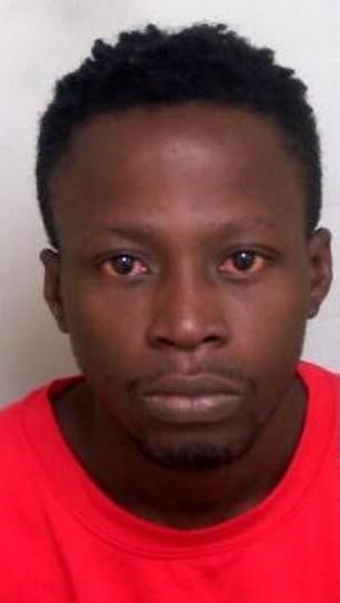 Four Nigerian stowaways bag jail terms in UK
