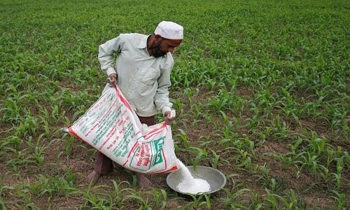 Enugu govt to provide subsidised fertiliser to farmers
