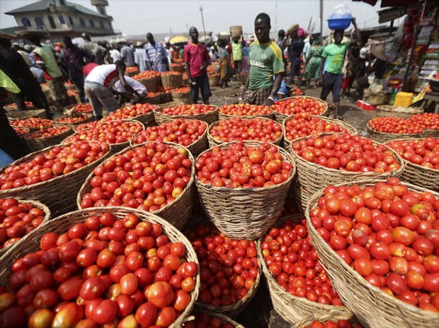 CBN vows to close tomato supply gap in Nigeria