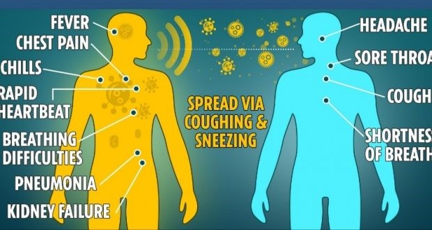 Coronavirus cases climb to 44