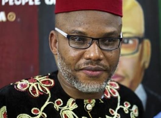 IPOB campaigns jolt FG to contact int’l community