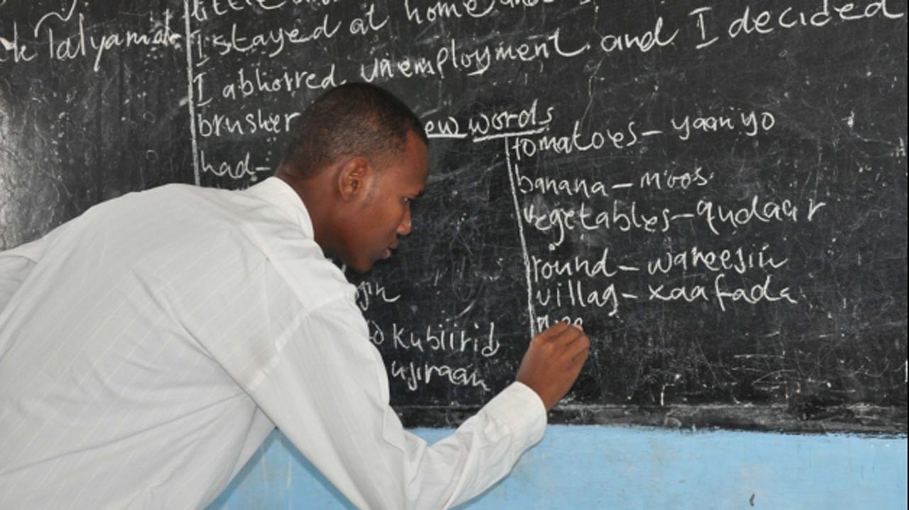 Don’t abandon private sector educators – Vanguard