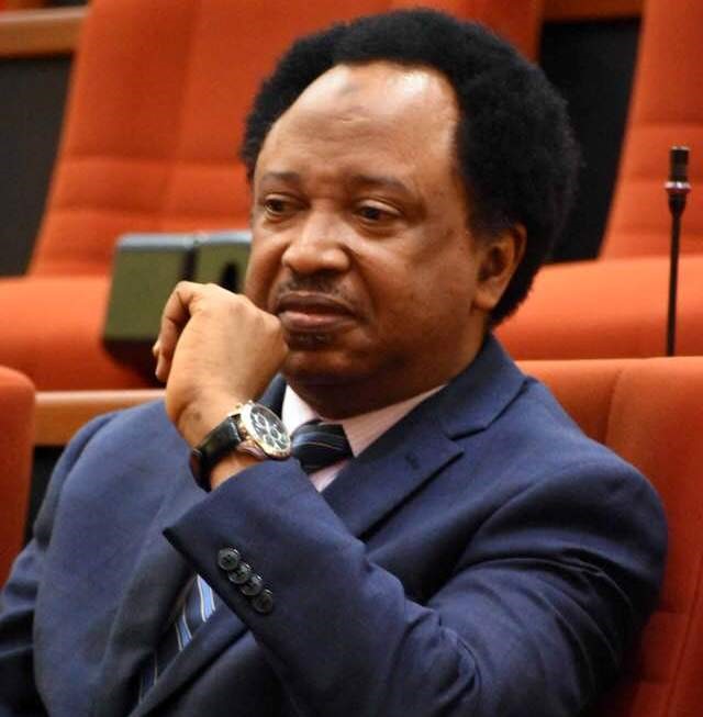 Shehu Sani counters Gov. Zulum on Boko Haram history