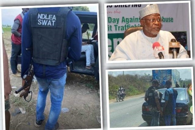 NDLEA SWAT men not authorised to search phones – Agency Chairman