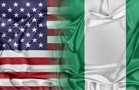 Nigeria not doing enough in fight against Boko Haram – US
