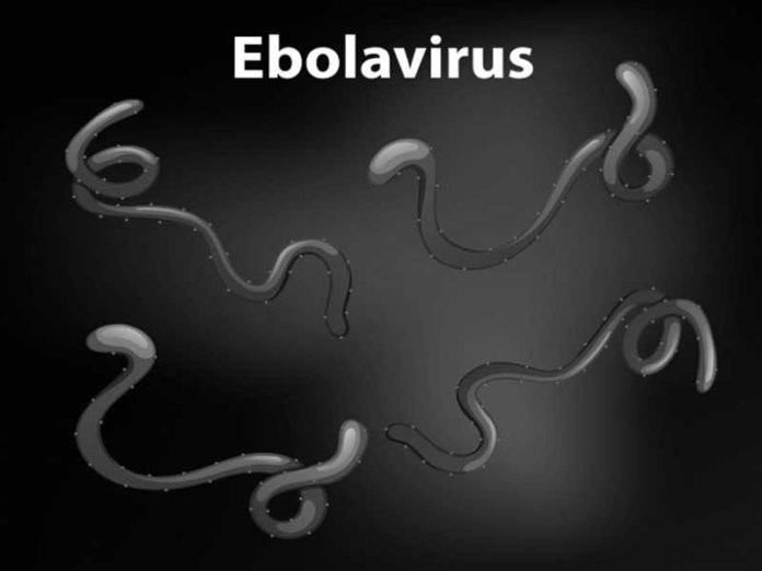 The Ebola preventive measures – Thisday