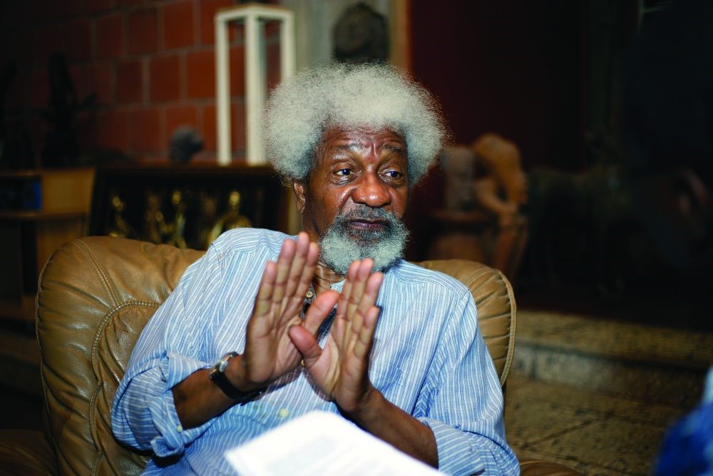 Herdsmen cattle graze in Soyinka’s compound