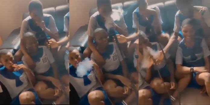 The Igbogbo Shisha show of shame – Tribune