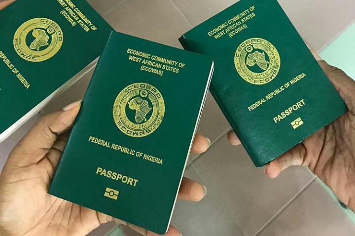 Immigration Service reopens passport application portal