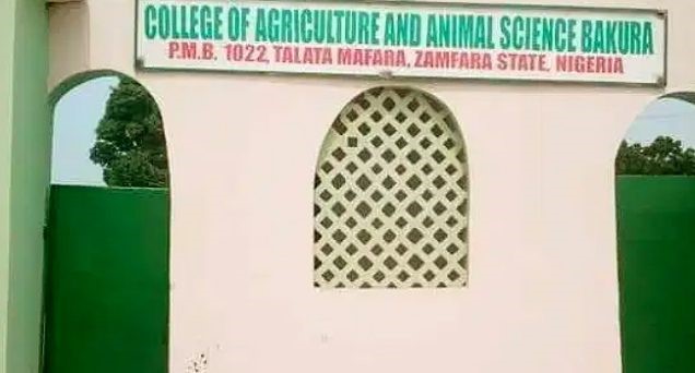 Bandits insist on N350m ransom for abducted Zamfara students