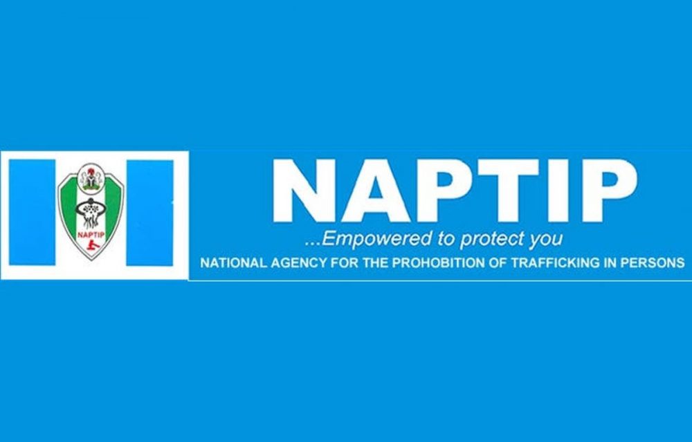 NAPTIP apprehends 4 human traffickers, rescues 19 victims in Kano