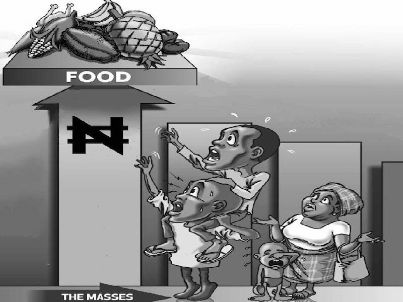 Containing the looming hunger – Thisday