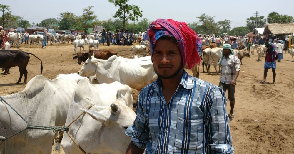 FG denies farm estates as RUGA, cattle colonies