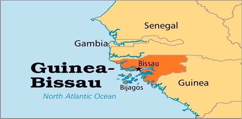 Fed Govt seeks 74 medical specialists for deployment to Guinea Bissau